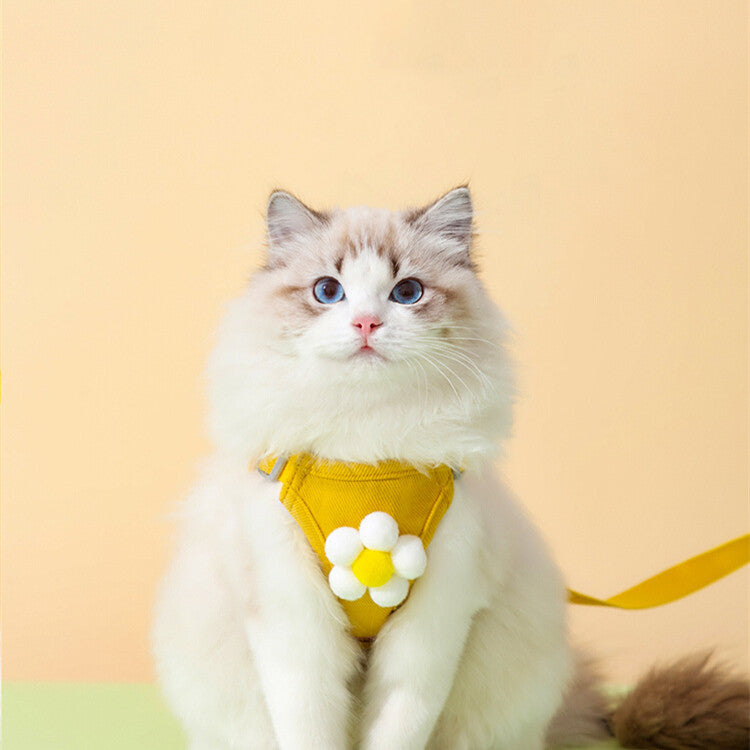 Discover the Anti-Escape Pet Vest Chest Harness and Leash Set